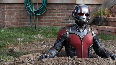 Ant Man in Suit in the ground